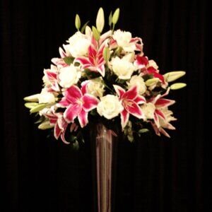 Meet your Posher, Jacquelin